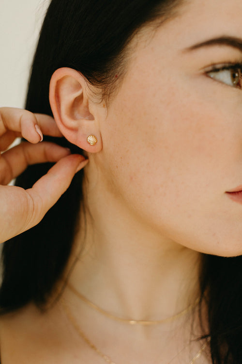 Dainty Shell Stud