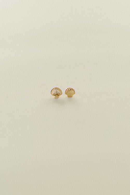 Dainty Shell Stud