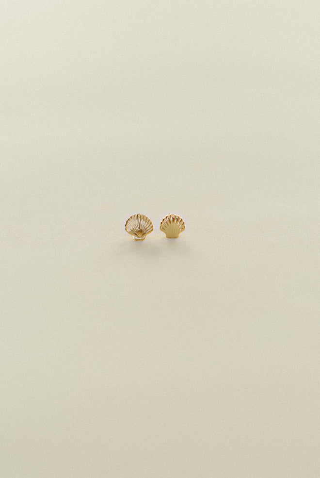 Dainty Shell Stud