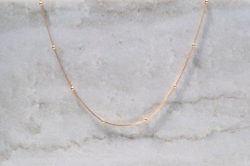 Lucca- Dainty Dotted Chain
