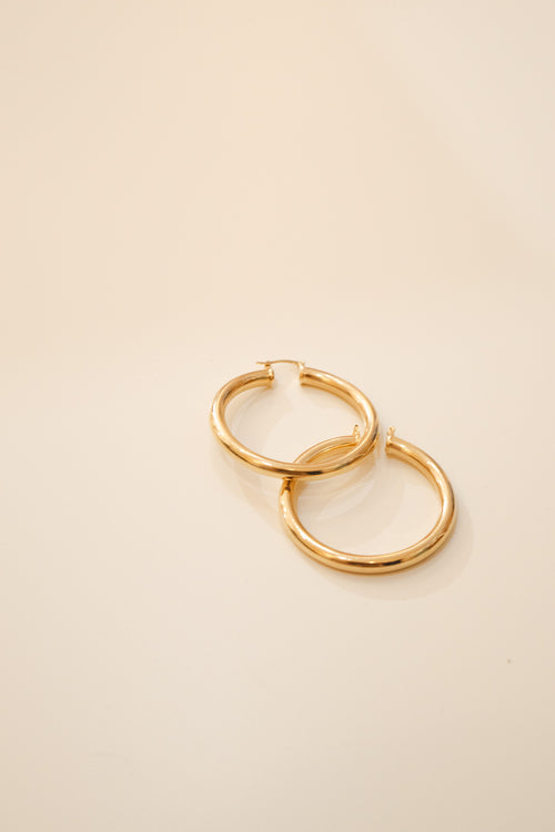 Lolly- Large Lever Back Hoops