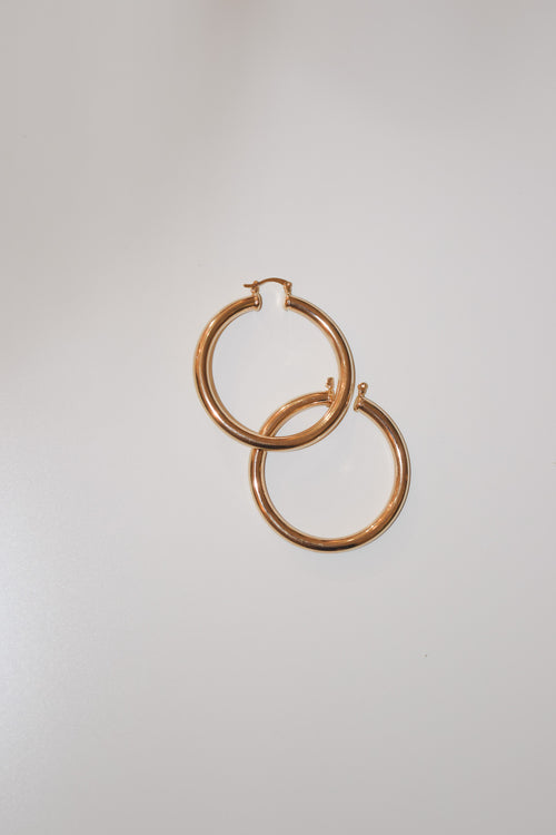 Lolly- Large Lever Back Hoops